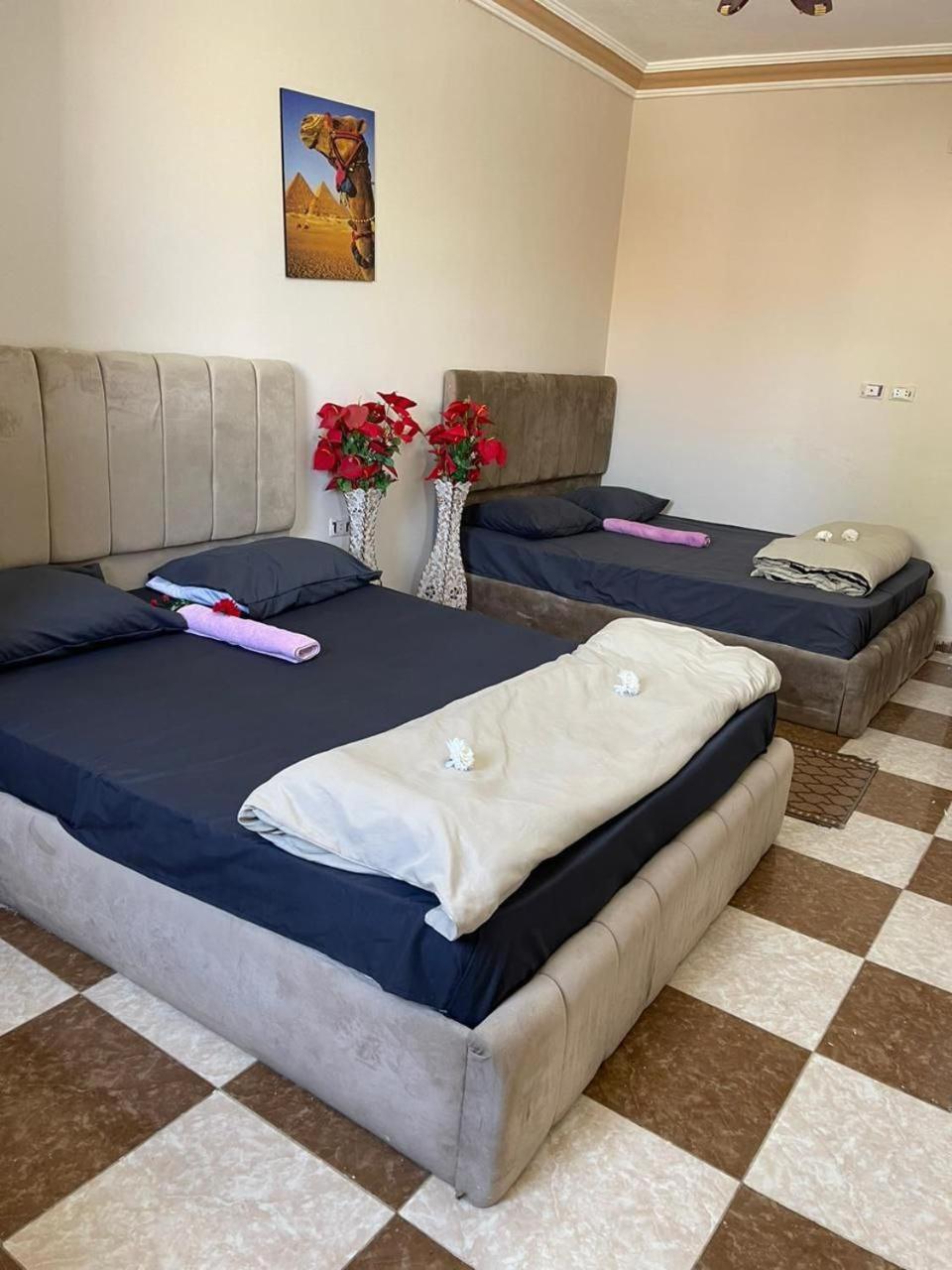 Pyramid Stars Inn Nazlet el-Sîsi 外观 照片